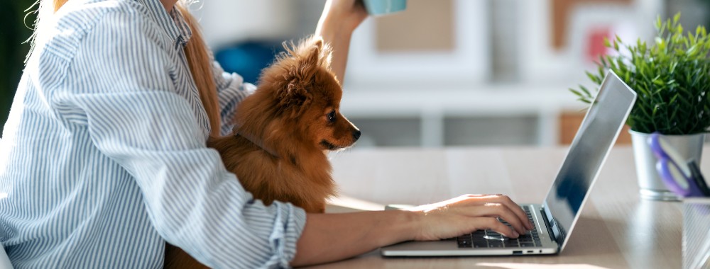 How to Find Users Folder on Mac